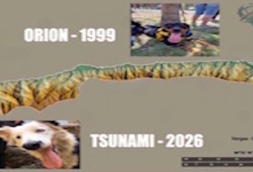 Tsunami-Vzla !