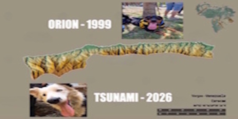 Tsunami-Vzla !