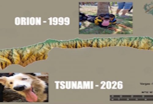 Tsunami-Vzla !