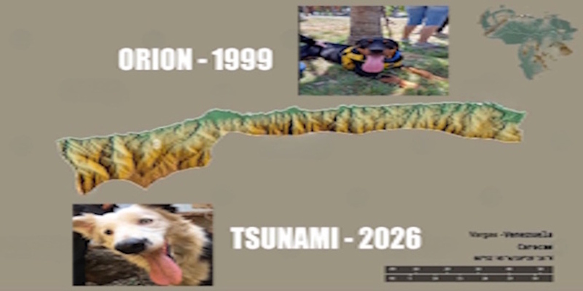 Tsunami-Vzla !